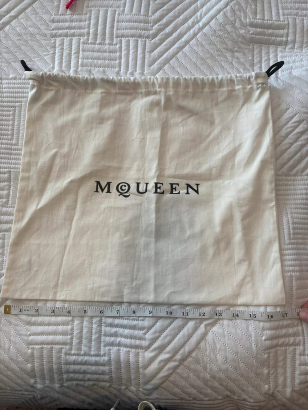 Alexander McQueen dust bag